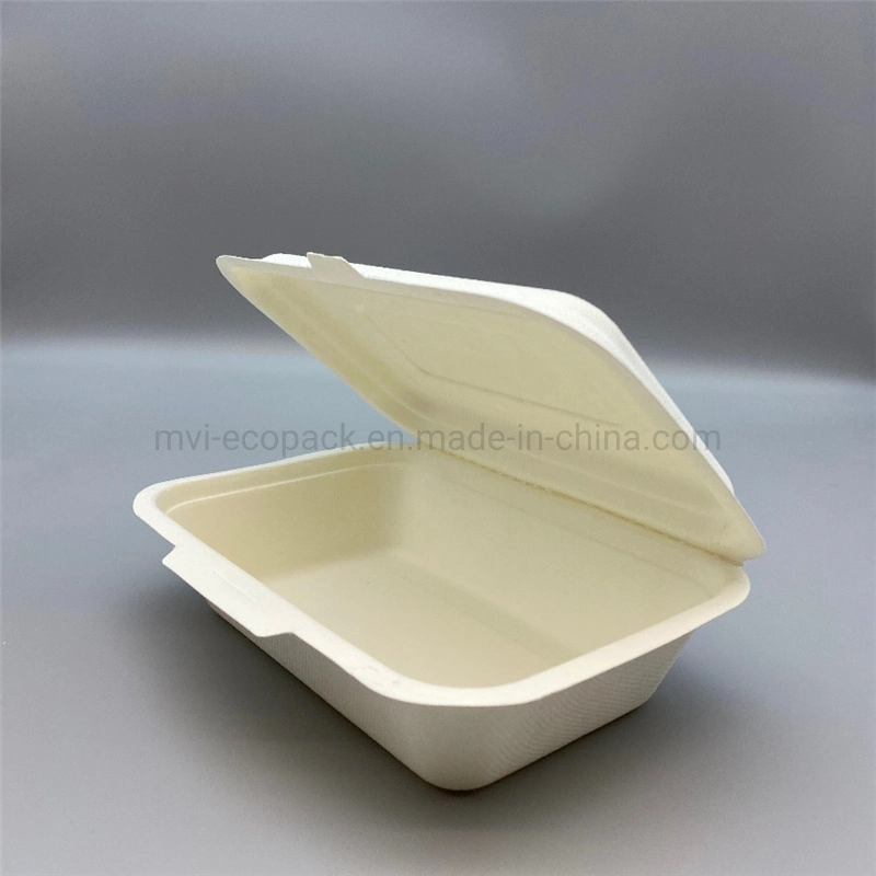 600ml Food Box Compostable Bagasse Locked Clamshell Food Box Biodegradable Tableware Takeaway Food Container