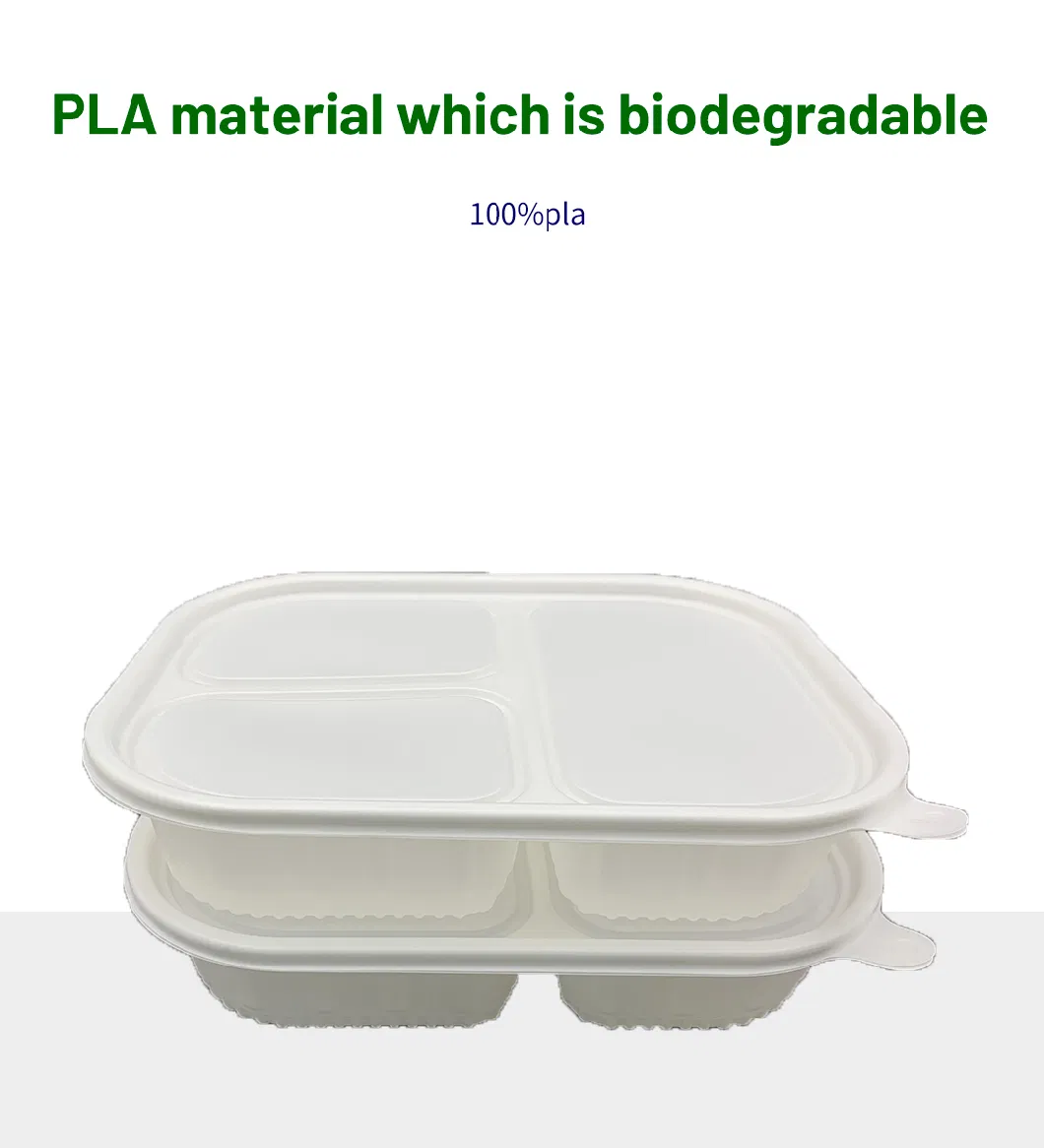 New for Sale Biodegradable Disposable Food Container Lunch Tableware Dinner Eco-Plaith Lisstic Packaging Box